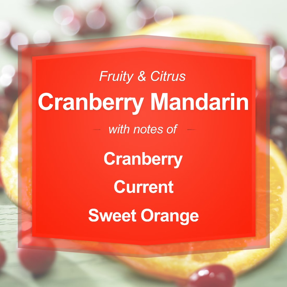 Cranberry Mandarin Scented Can - Home Fragrances 评论和价格