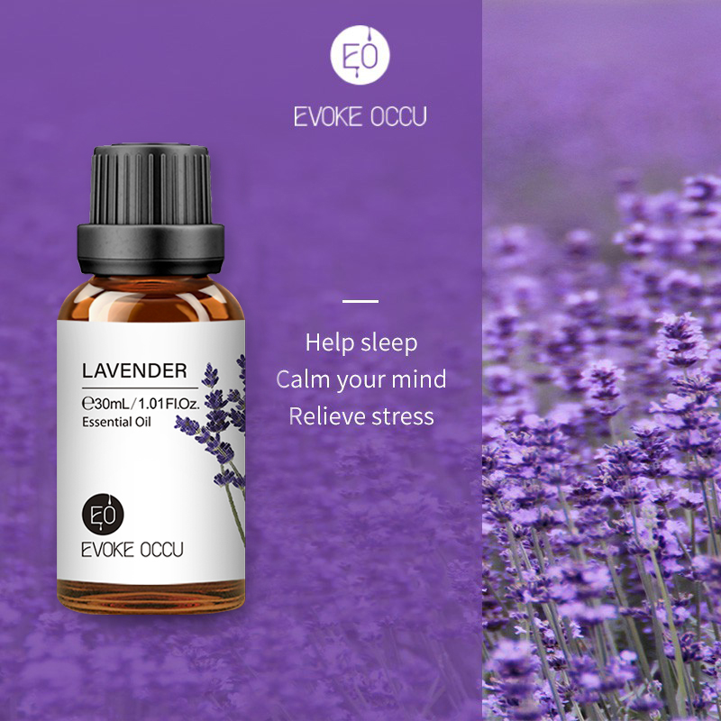 EVOKE OCCU Lavender Essential  - Home Fragrance Jasmine Diffuser 评论和价格