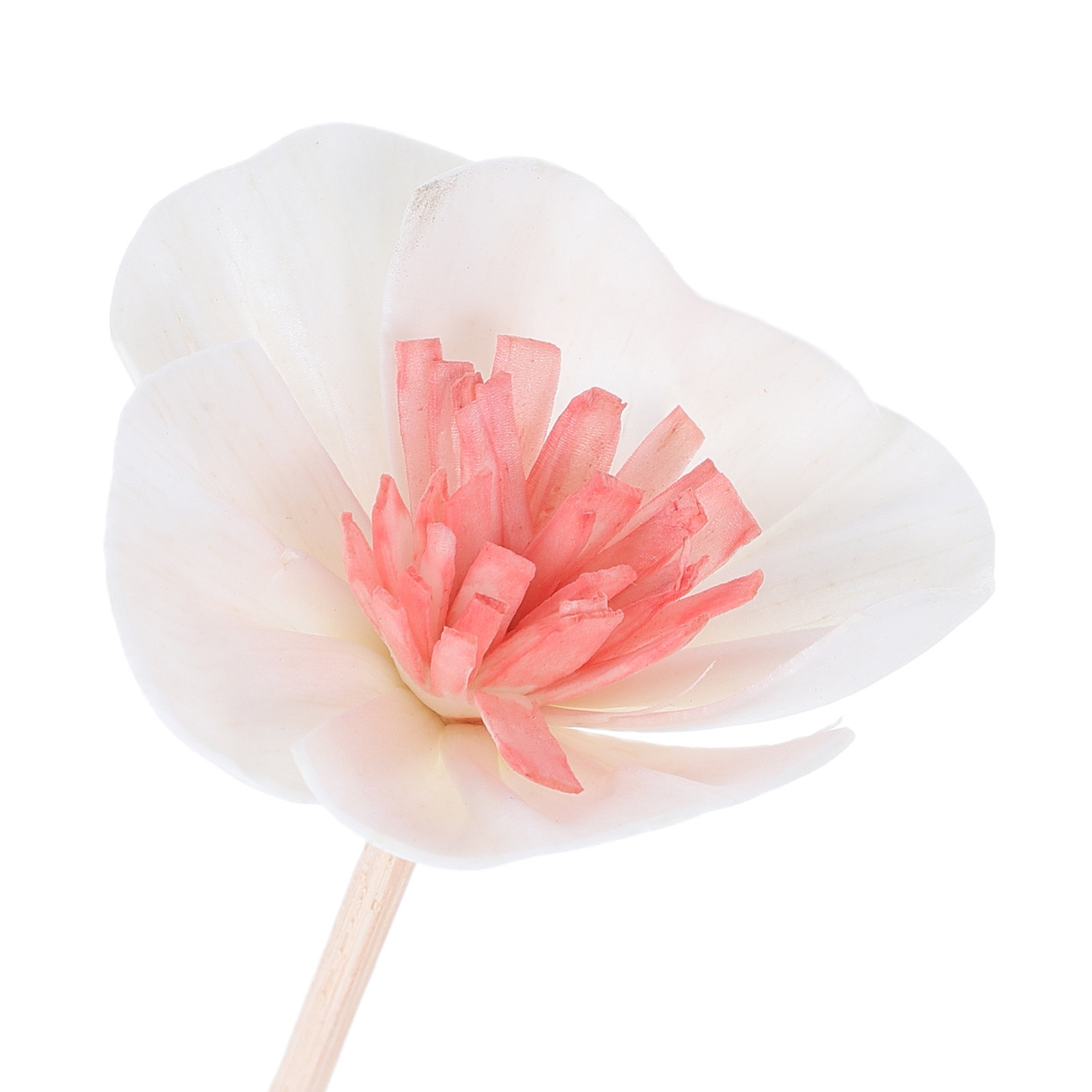 10Pcs Essential Oil Diffuser S - Home Fragrances 评论和价格