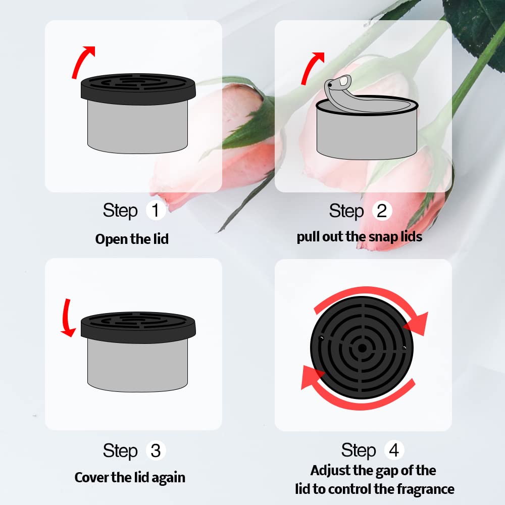 Car Air Freshener:   Coconut S - Home Fragrance Collection 评论和价格