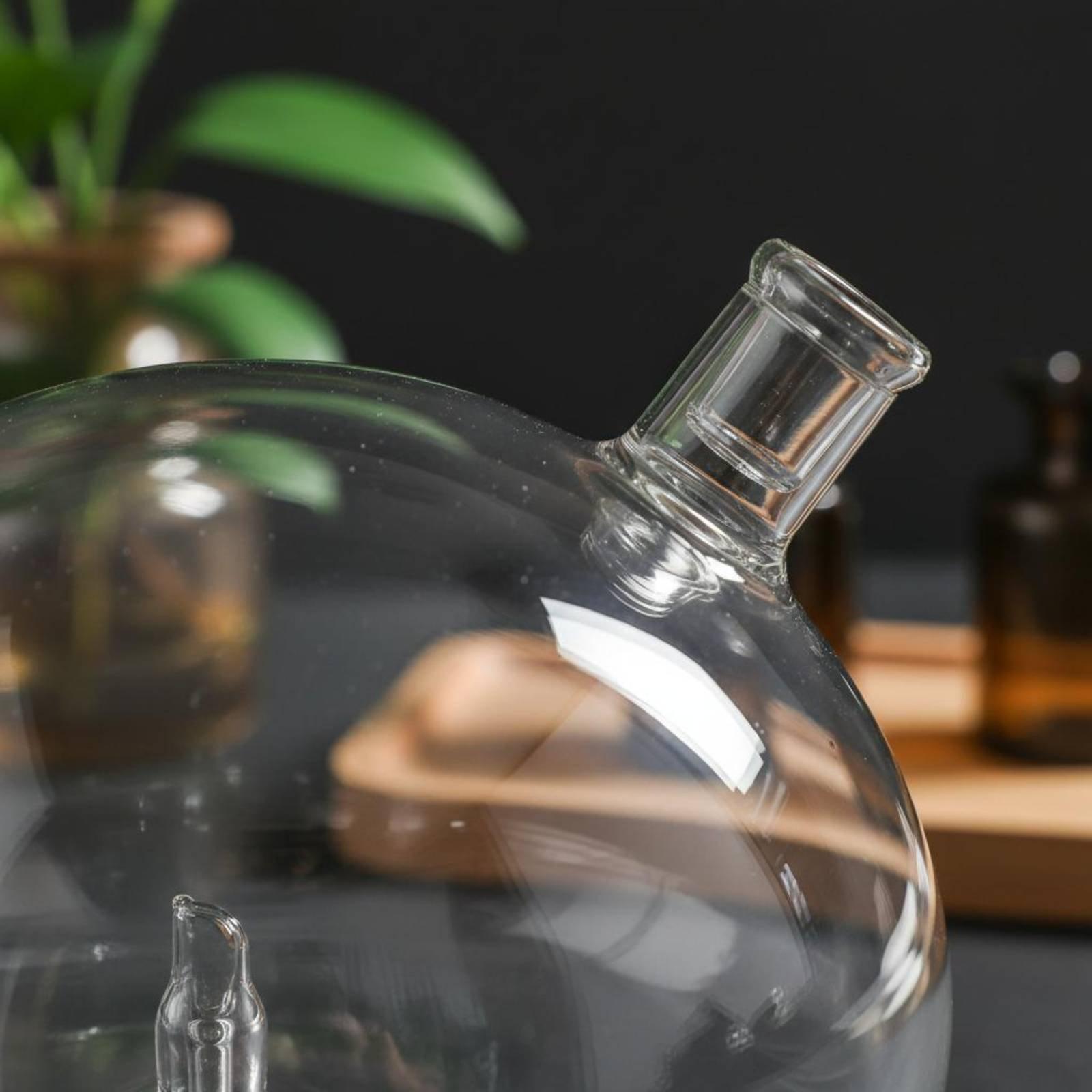 Diffuser Bottle Universal Fit  - Home Fragrances 评论和价格